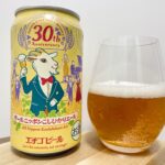 【美味しいの？！】エチゴビール／オールニッポンこしひかりエールを飲んでみた！おすすめクラフトビールレビュー