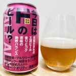 【美味しいの？！】ドンキホーテ／今日は「ド」のビール？PALE ALE（ペールエール）を飲んでみた！おすすめクラフトビールレビュー